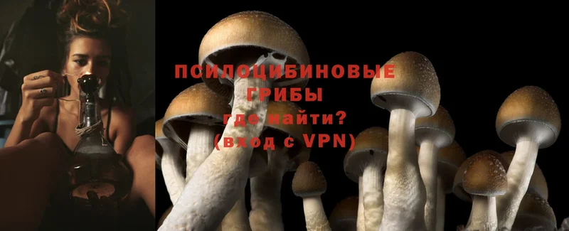 даркнет формула  Барабинск  Галлюциногенные грибы MAGIC MUSHROOMS 